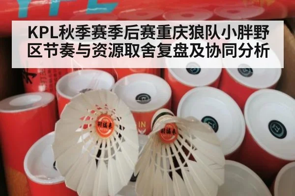 KPL秋季赛季后赛重庆狼队小胖野区节奏与资源取舍复盘及协同分析